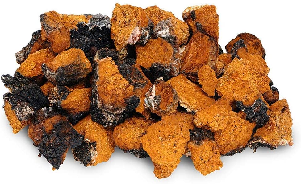 SIBA CHAGA  "König der Kräuter & Pflanzen"  